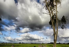 利物浦vs切尔西首发会有哪些看点？