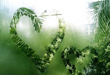 碧峰峡风景区怎么玩？超全旅游攻略来啦！