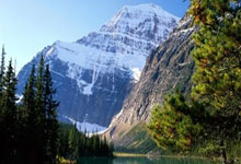 在哪里能看浦项制铁的比赛直播？浦项制铁比赛直播有哪些看点？